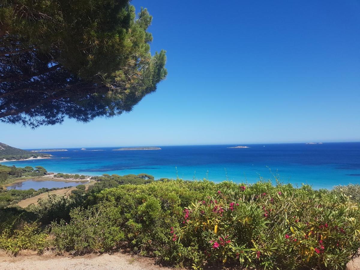 Maison Sur Palombaggia بورتو فيكشْيو المظهر الخارجي الصورة