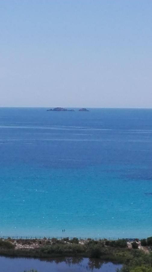 Maison Sur Palombaggia بورتو فيكشْيو المظهر الخارجي الصورة