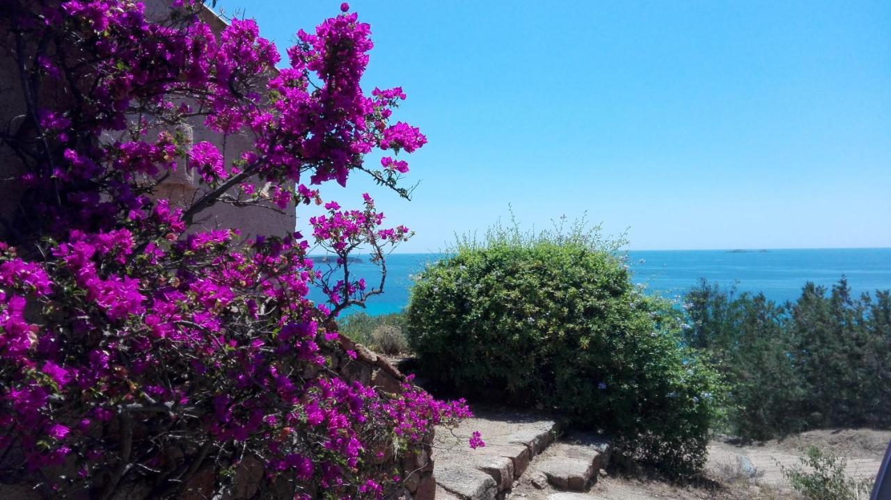 Maison Sur Palombaggia بورتو فيكشْيو المظهر الخارجي الصورة