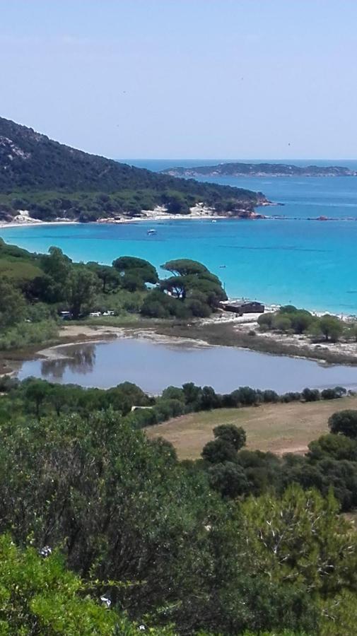 Maison Sur Palombaggia بورتو فيكشْيو المظهر الخارجي الصورة